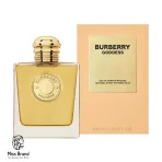 عطر باربری گادس زنانه ادوپرفیوم اینتنس 100 میل